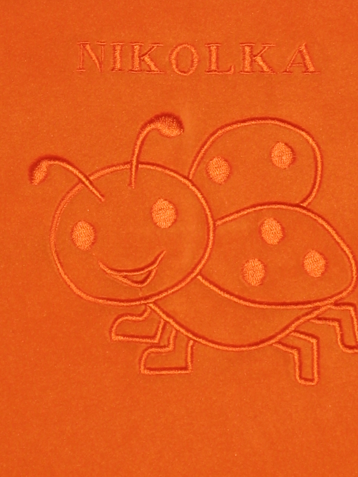 Deka fleece dvouvrstvá 70x100 výšivka obrázek,jméno na obou stranách